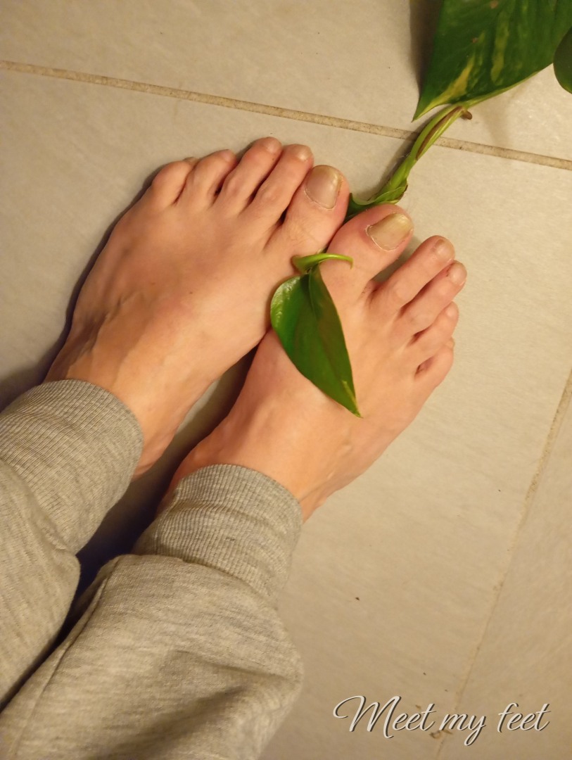 Meet My Feet - Liloopo